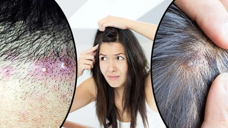 ছবির ক্যাপশন: ছবি সংগ্রহীত